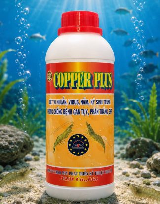 COPPER PLUS