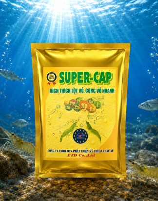 SUPER CAP