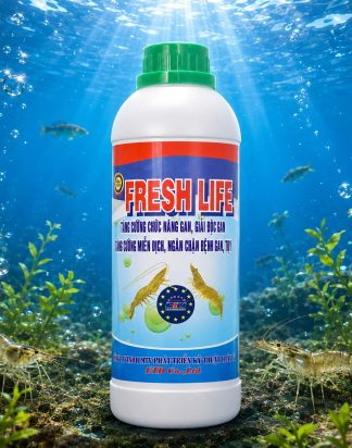 FRESH LIFE 