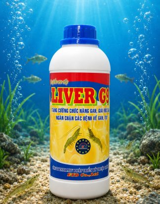 LIVER G9 XANH