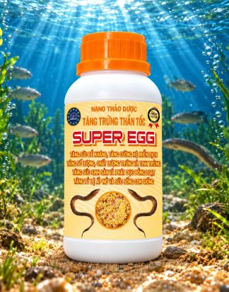 SUPER EGG